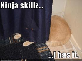 funny-pictures-curtain-ninja-cat