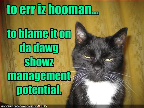 funny-pictures-cat-shows-potential-by-blaming-things-on-the-dog